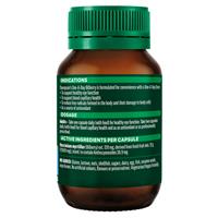Thompson‘s Bilberry 12000 60 Capsules (2027.09)