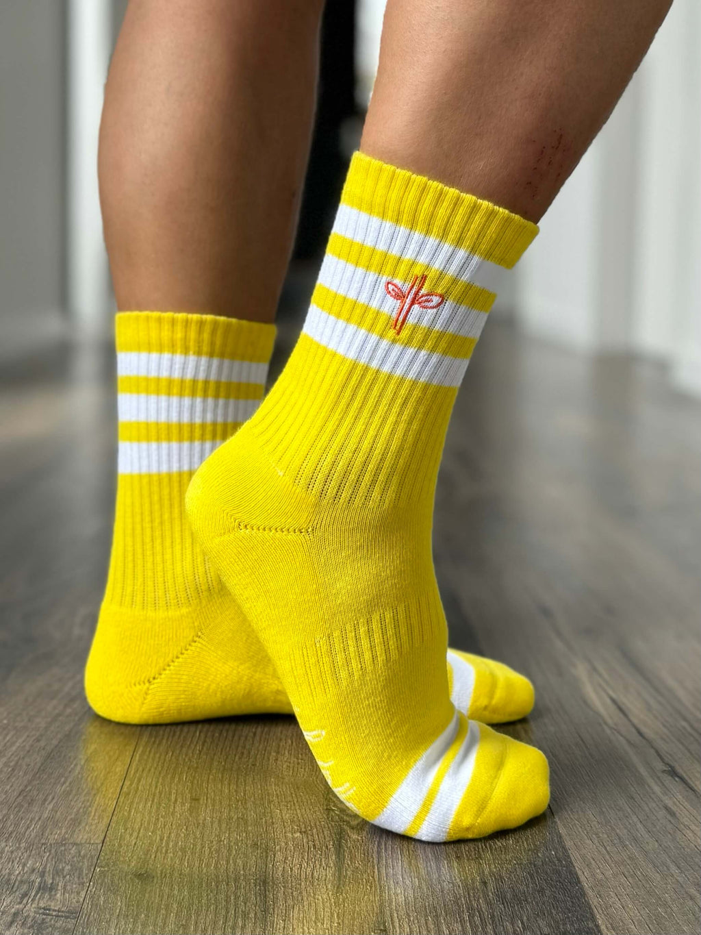 Organic Cotton Ski + Crew Socks Winter Bundle: 5 Pack