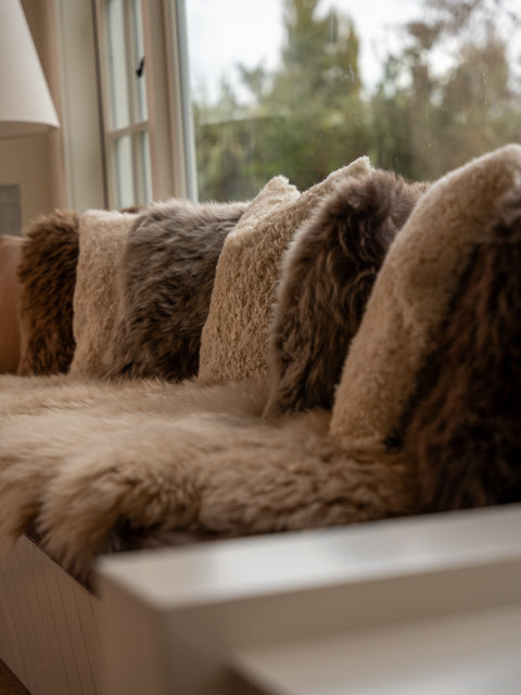 Cushions - BraveBearFit