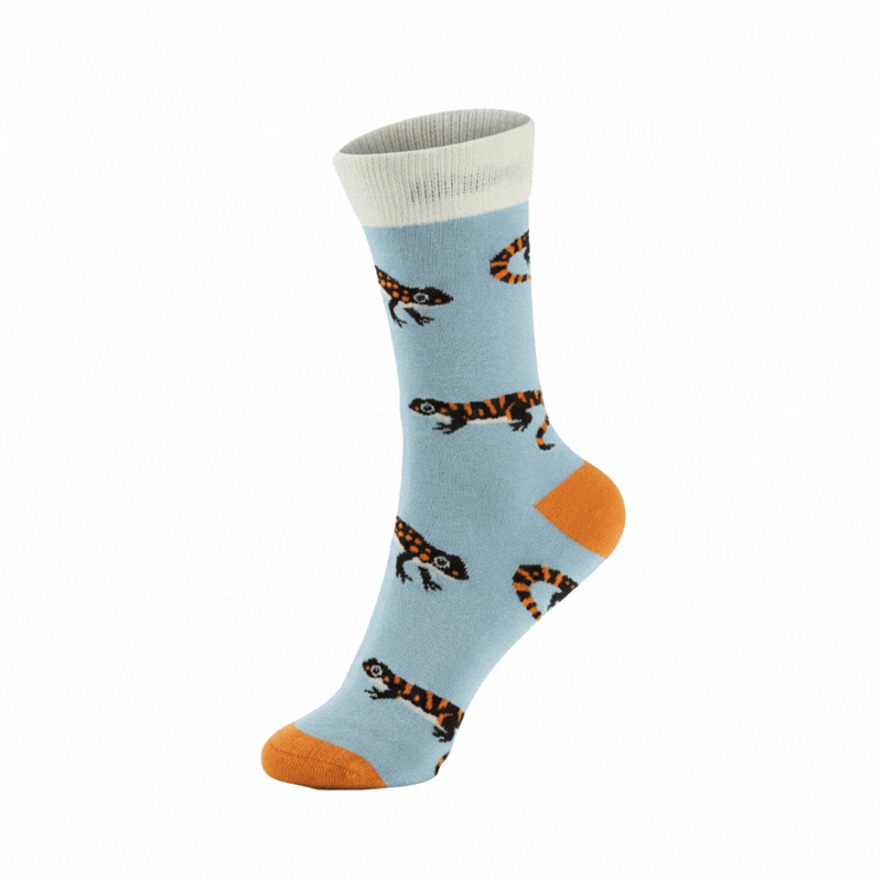 Save the Salamander Bamboo Socks - BraveBearFit