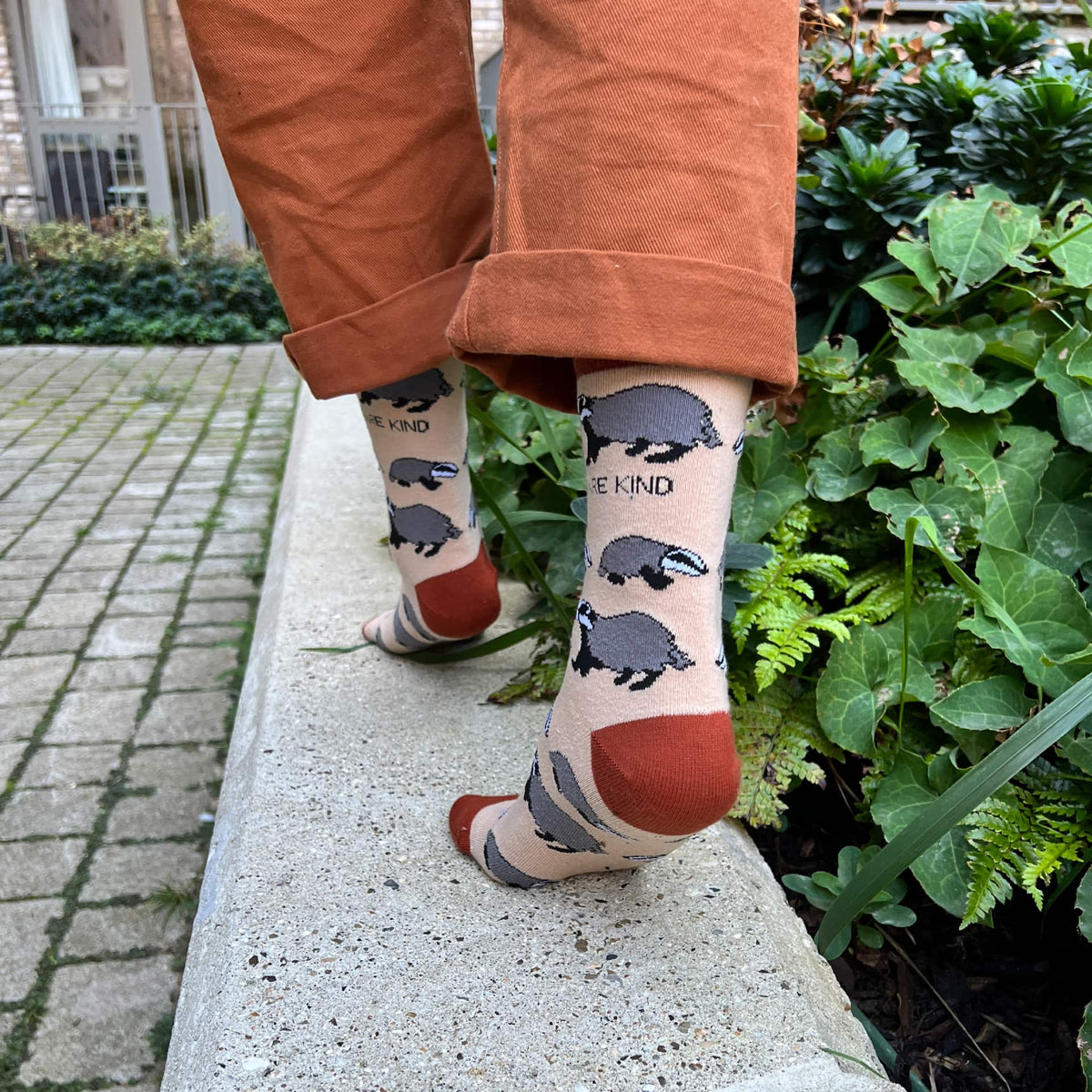Save the Badgers Bamboo Socks - BraveBearFit