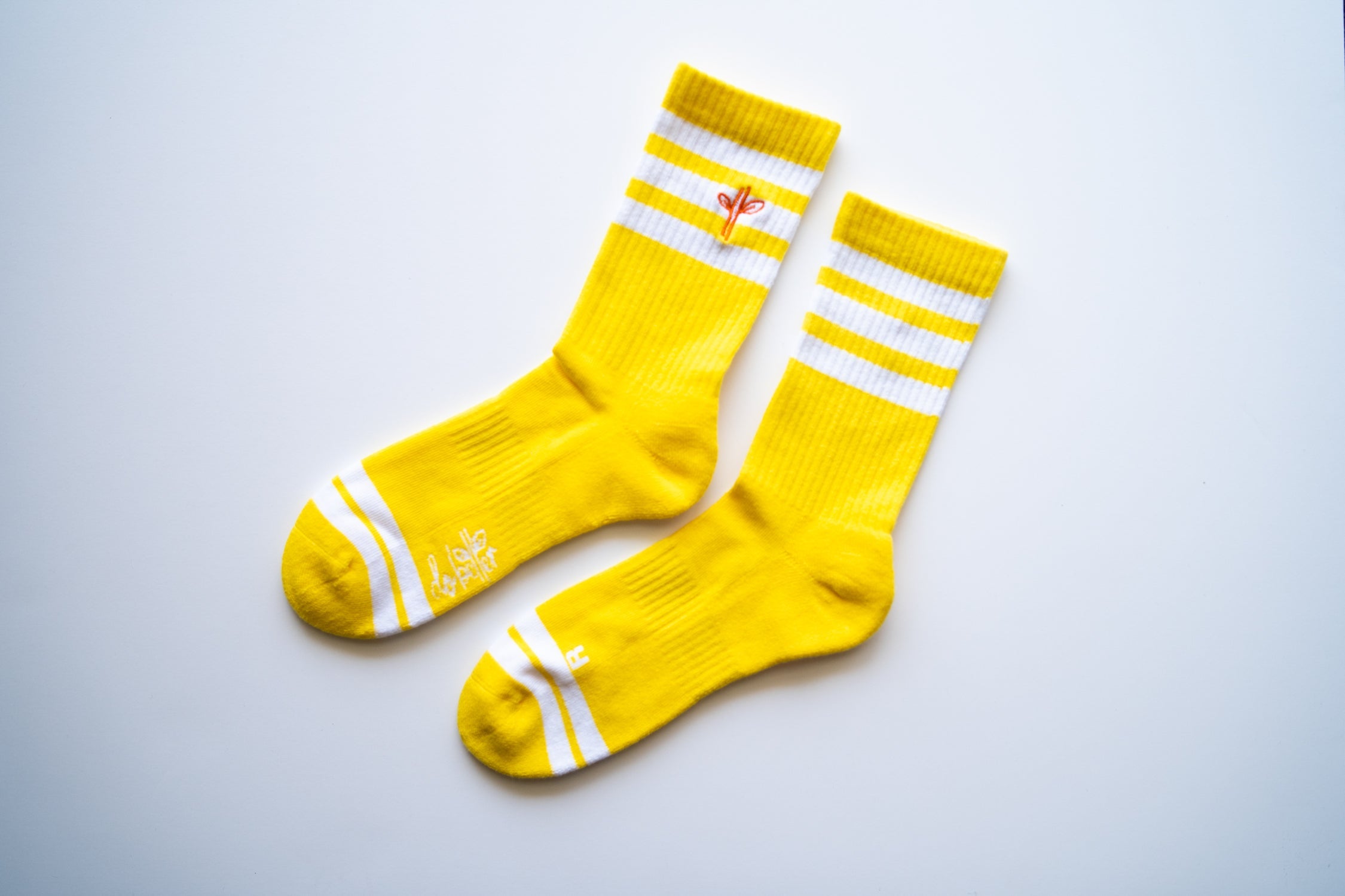 Organic Cotton Lite Crew Sock - Sunrise Session