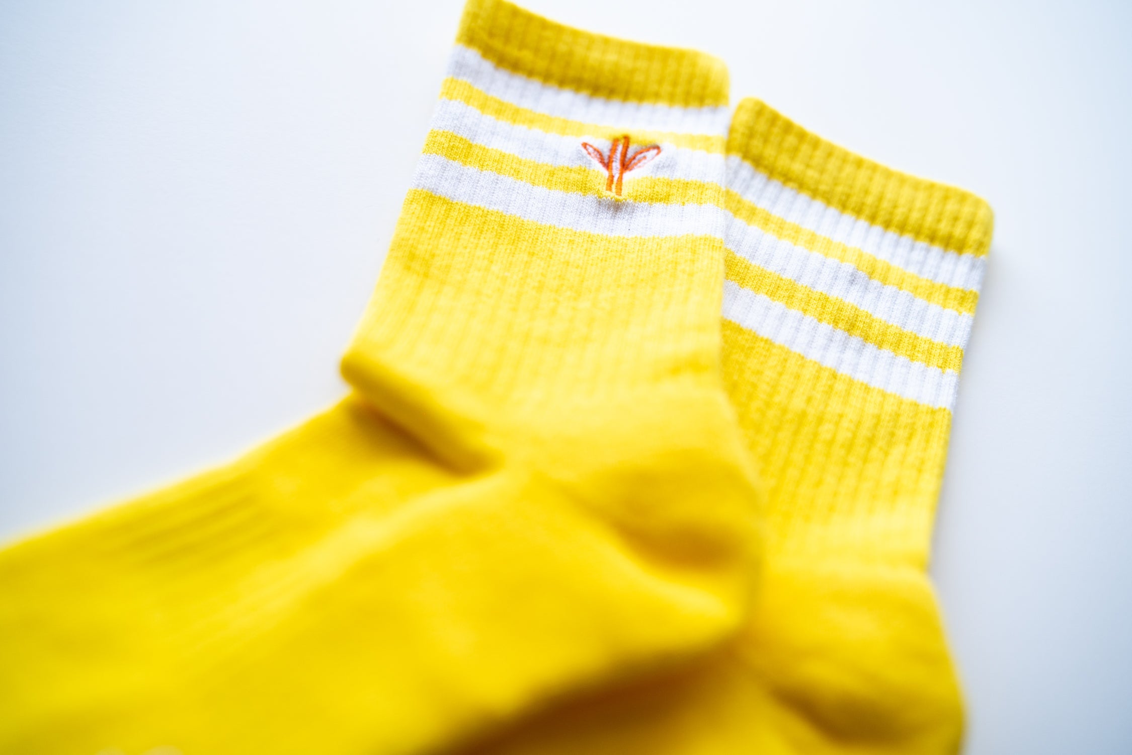 Organic Cotton Lite Crew Sock - Sunrise Session