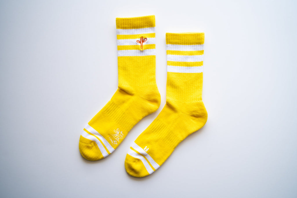 Organic Cotton Lite Crew Sock - Sunrise Session